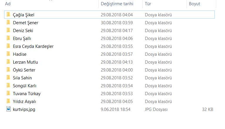 Türk Ünlü Mini Arşiv Kurtvip Yabanci Turk İfsa